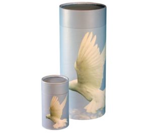 Ascending Dove